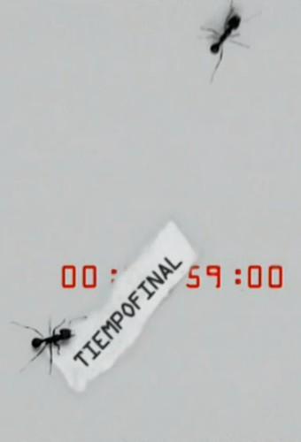 Final Minute