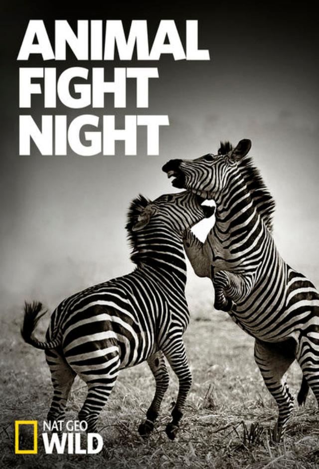 Animal Fight Night