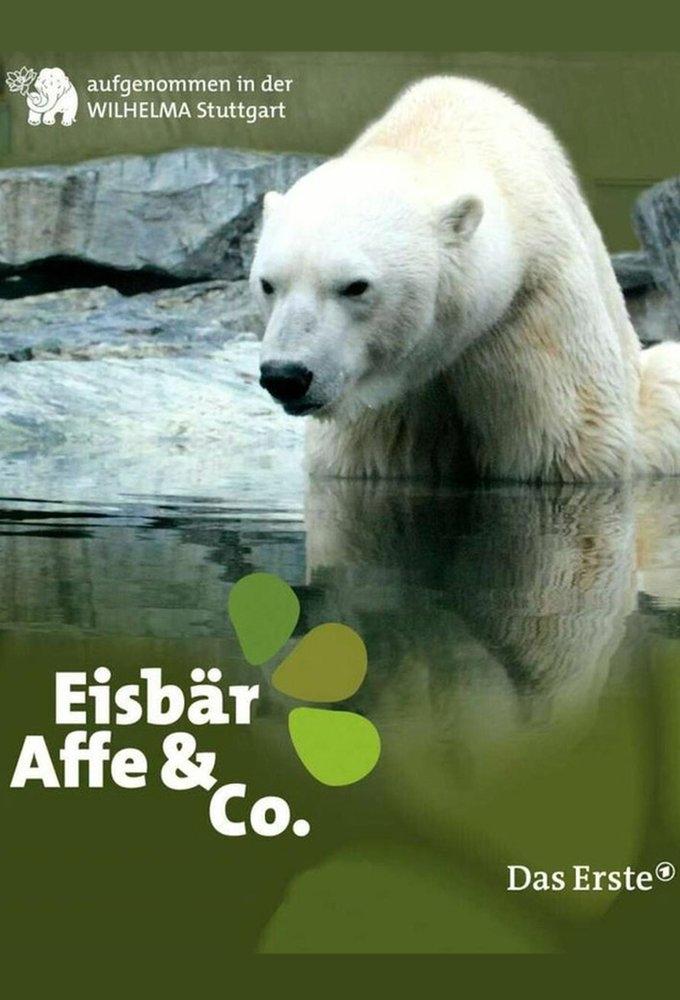 Eisbär, Affe & Co.