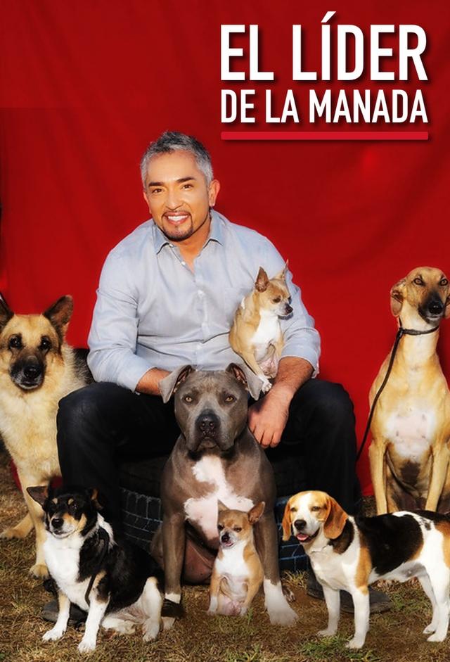 El líder de la manada
