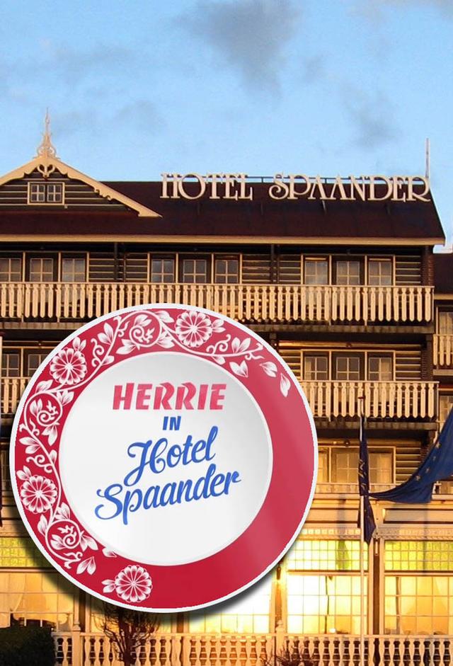 Herrie In Hotel Spaander