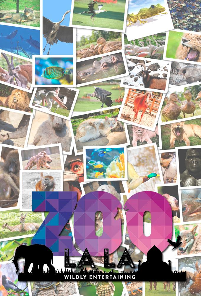 Zoo La La