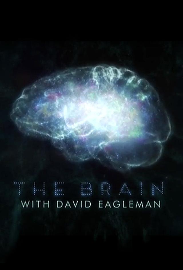 The brain with david eagleman tv time