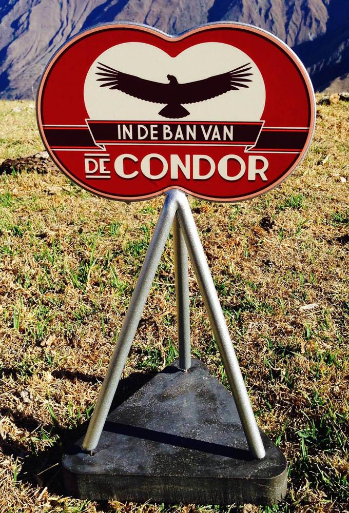 In de ban van de condor