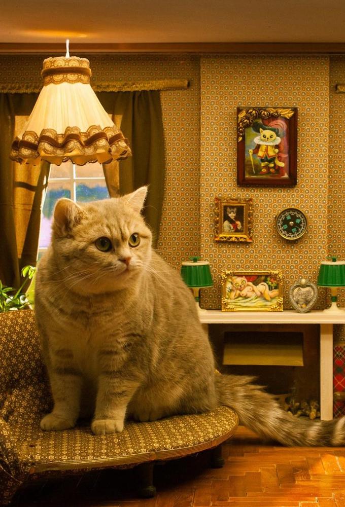 Kitties (2015)
