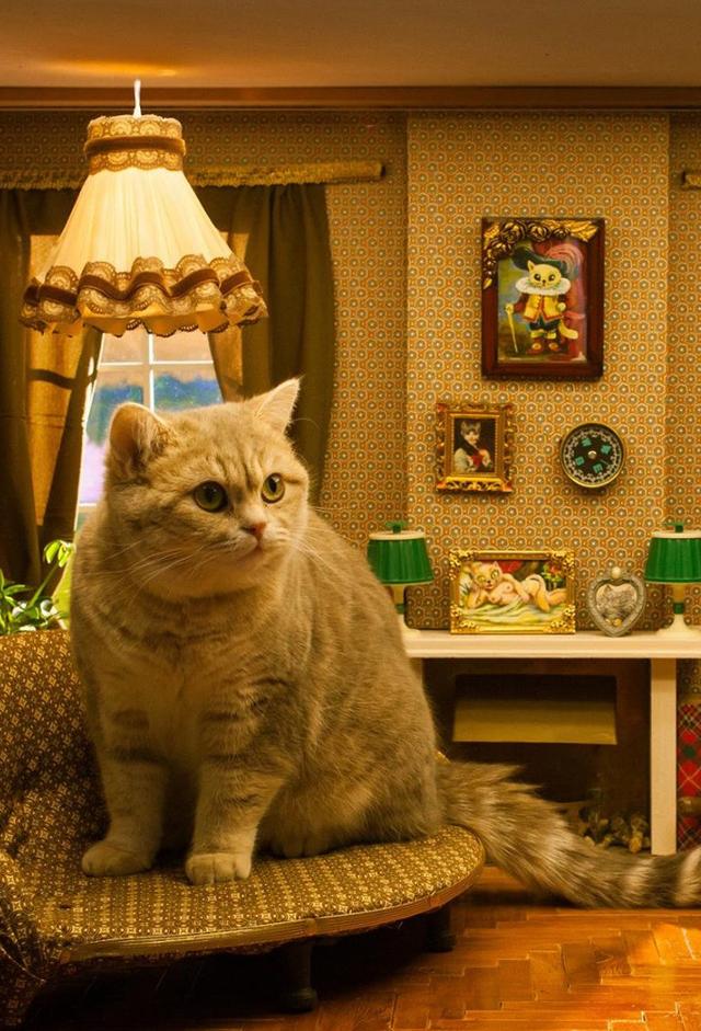Kitties (2015)