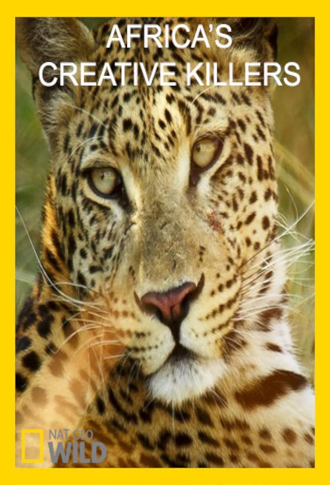 Creative Killers