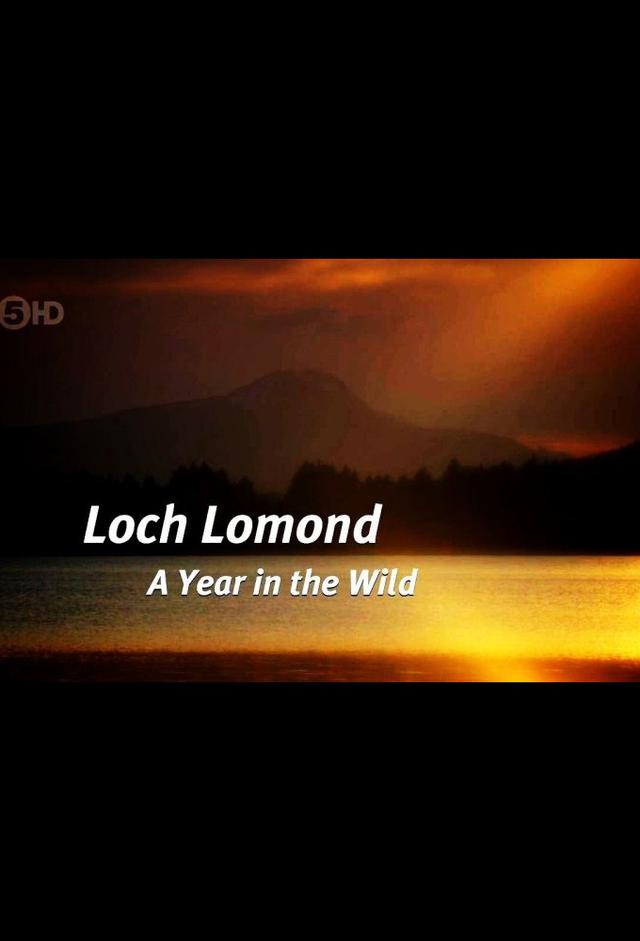 Loch Lomond: A Year in the Wild