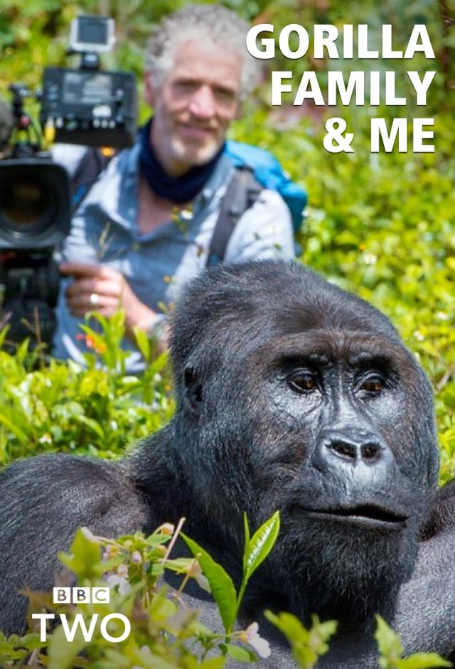 Gorilla Family & Me