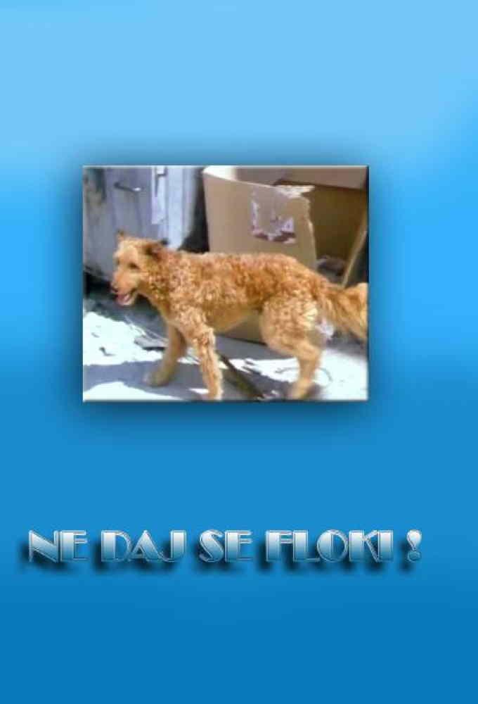 Ne daj se, Floki!