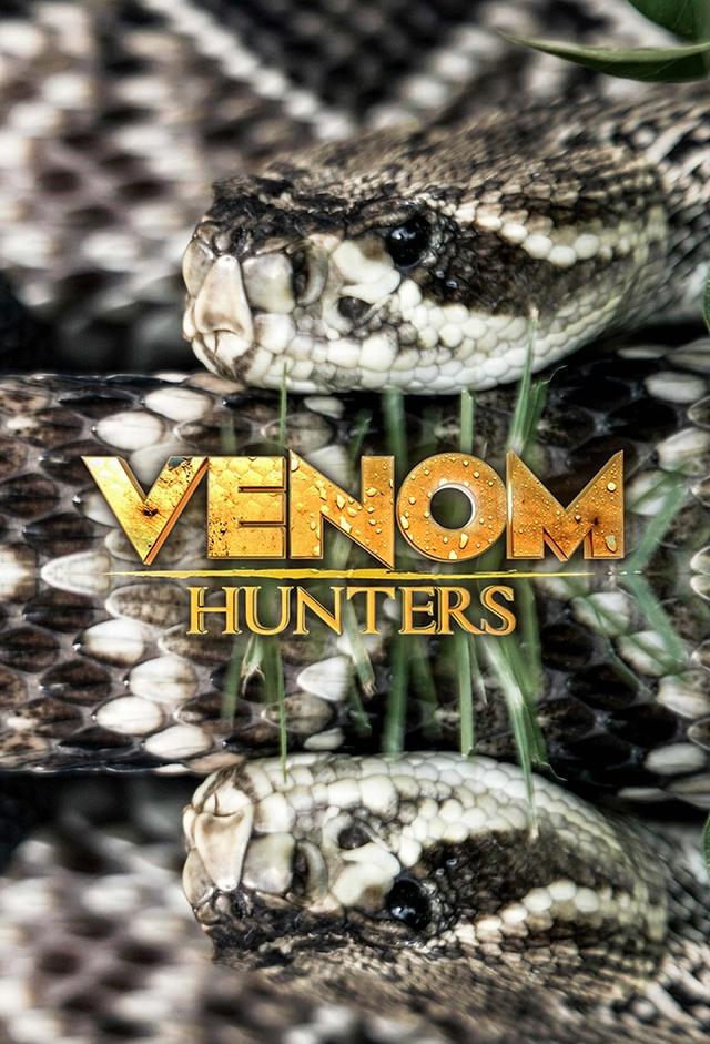 Venom Hunters
