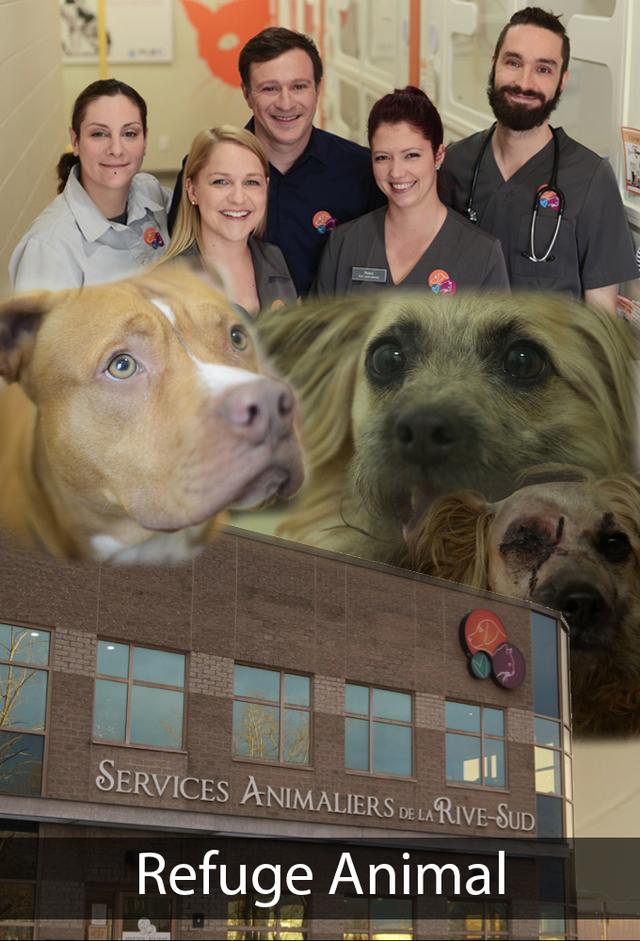 Refuge animal