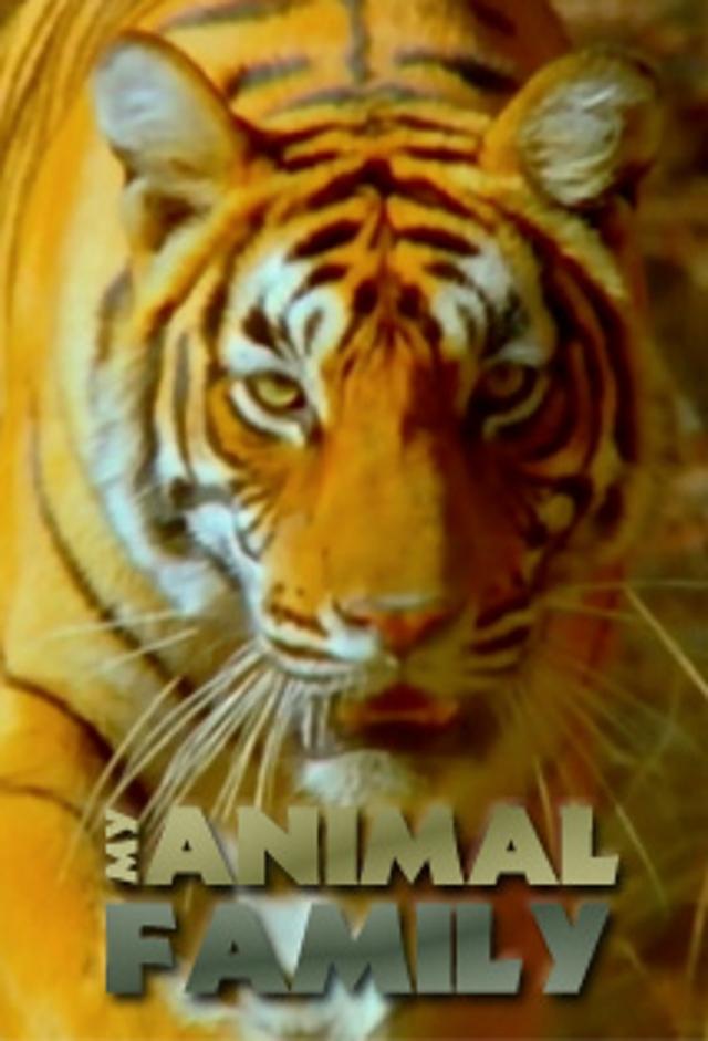 My Animal Family