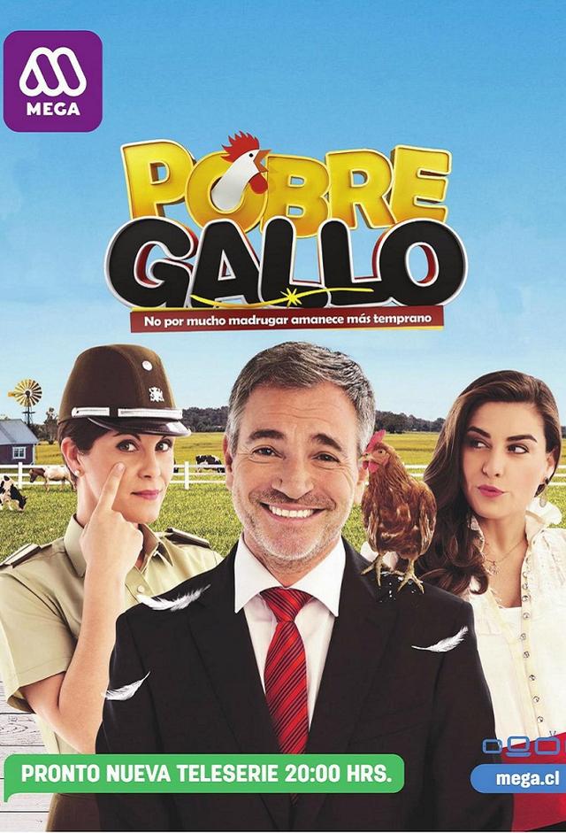 Pobre Gallo