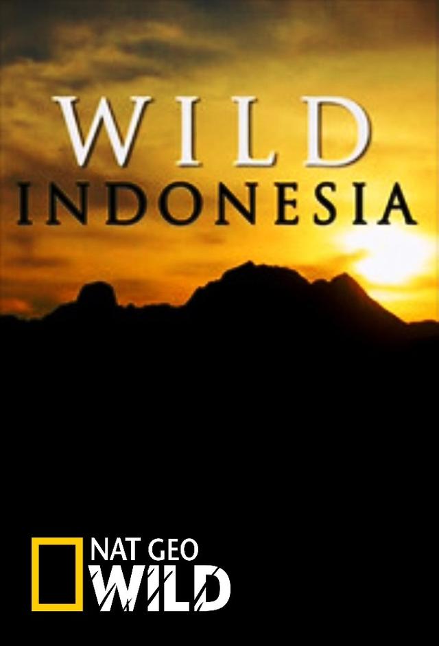 Wildes Indonesien