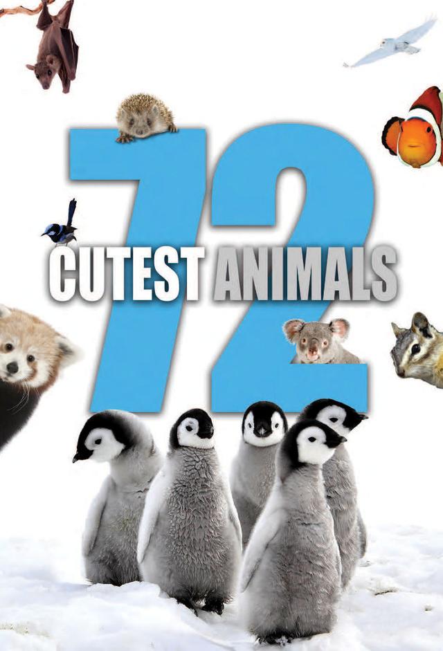 72 animali tenerissimi