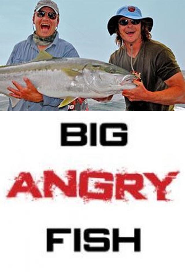 Big Angry Fish