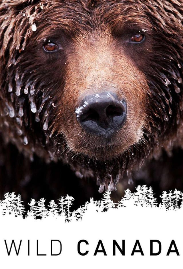 Wild Canada