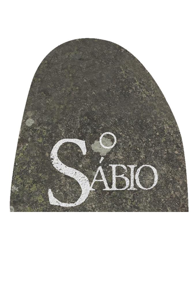 O Sábio