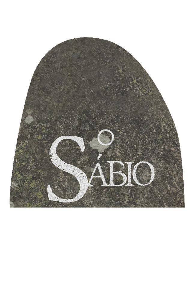O Sábio