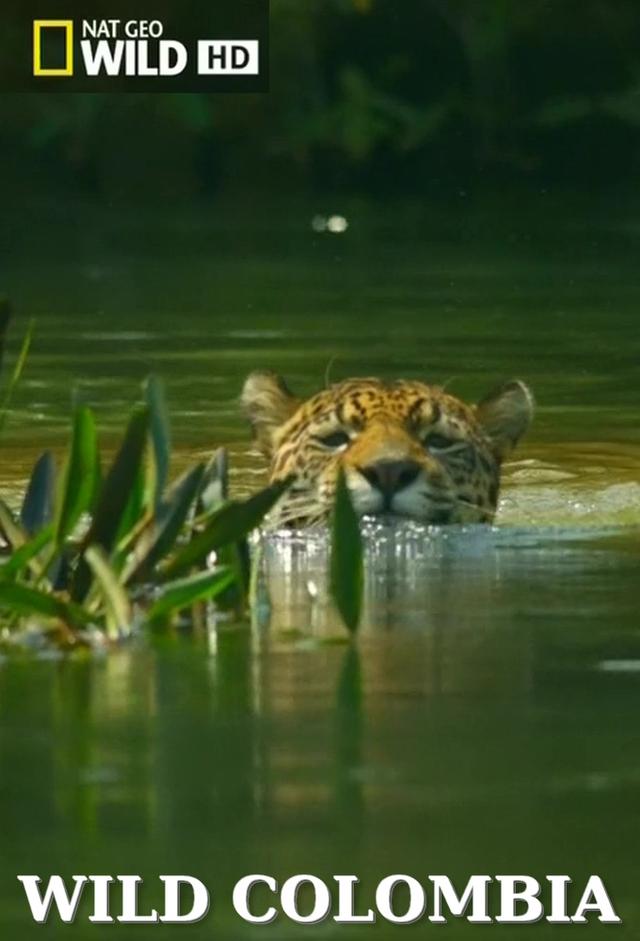 Destination Wild: Colombia