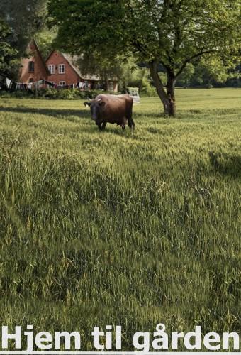Hjem til Gården