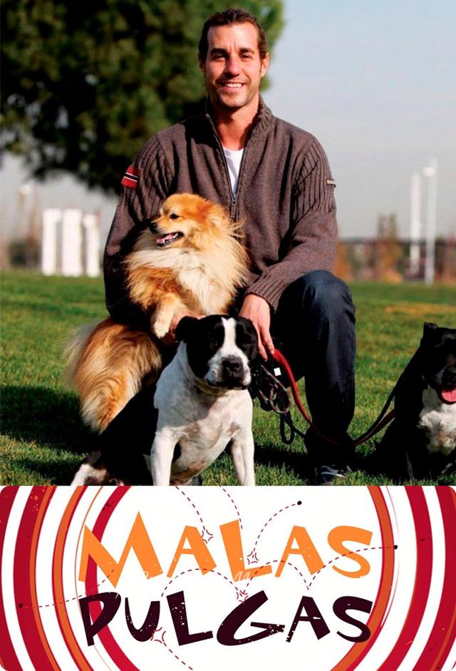 Malas Pulgas