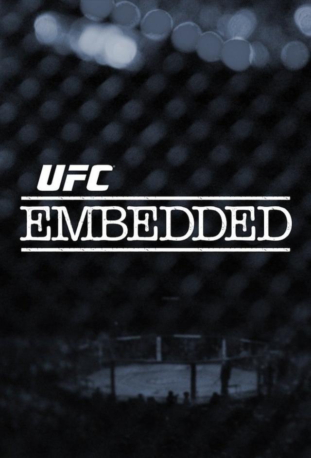 UFC 203 Embedded