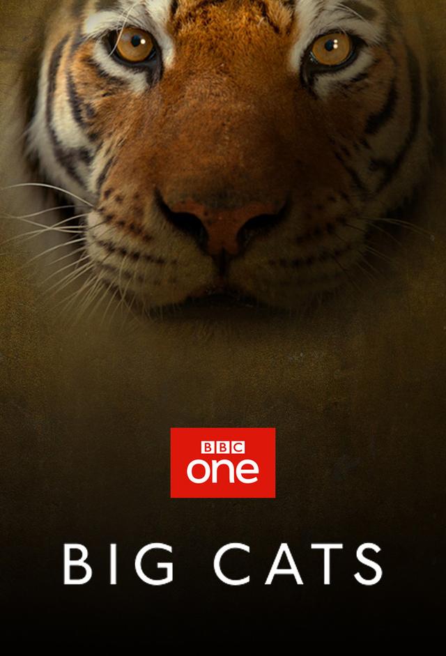 Big Cats