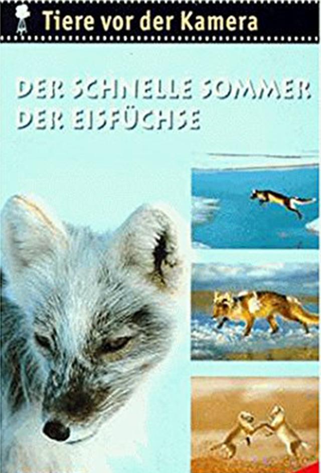 Tiere vor der Kamera