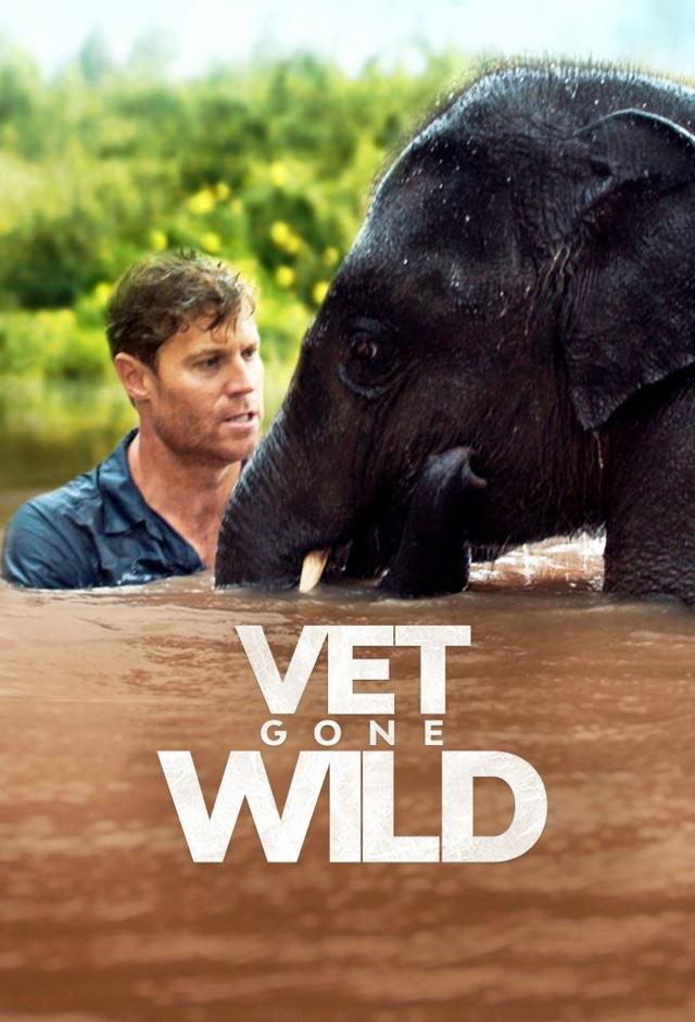 Vet Gone Wild