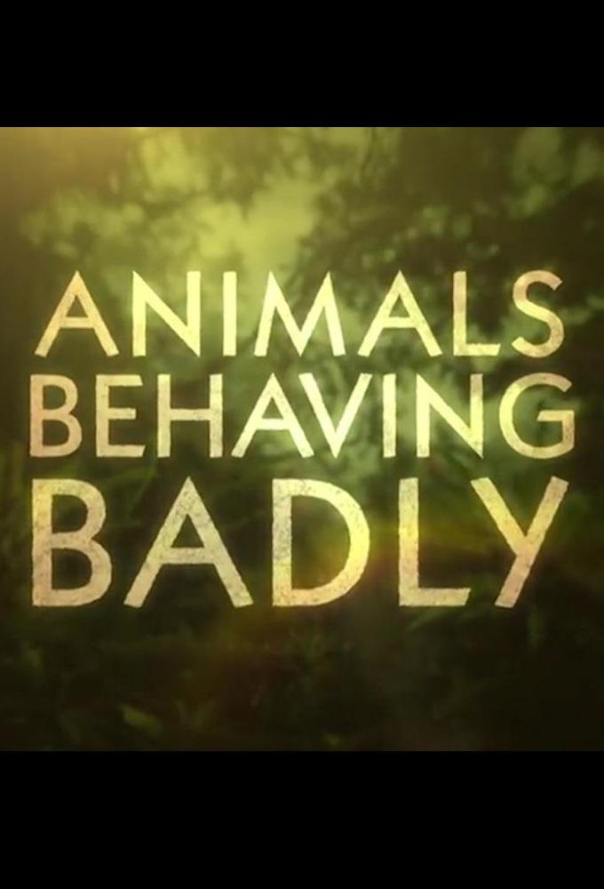 Animals Behaving Badly