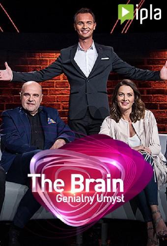 The Brain. Genialny Umysł