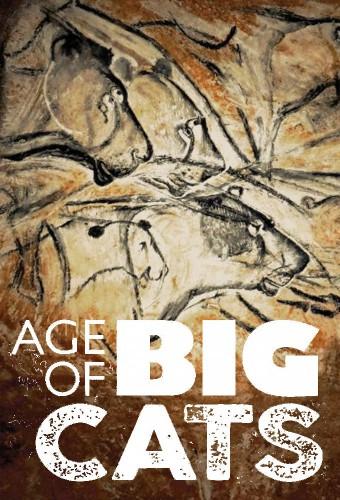 Age of Big Cats