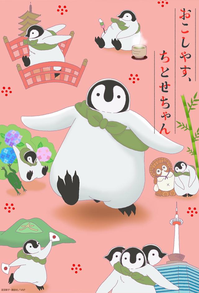 Welcome, Chitose-chan