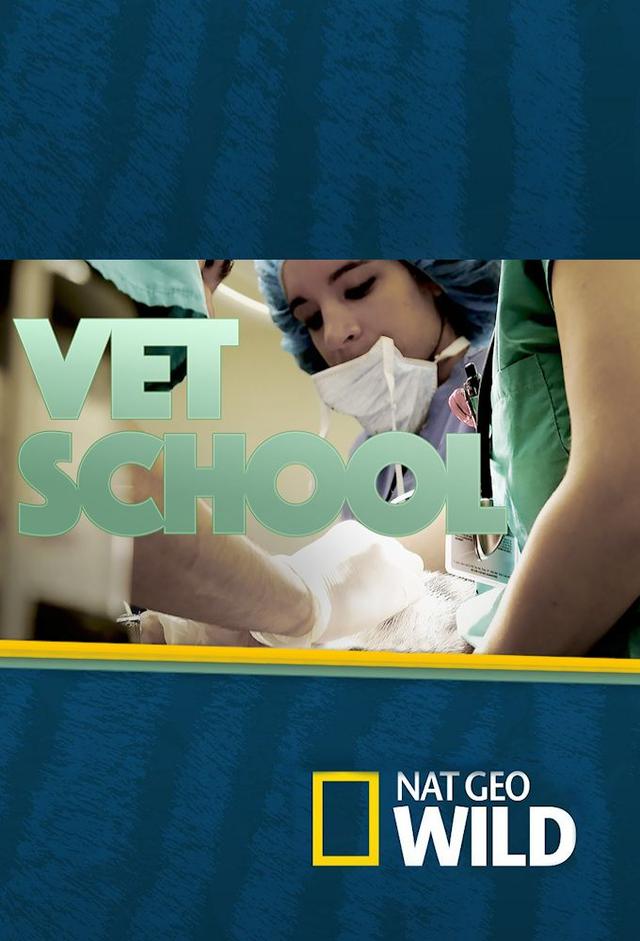 Vet School (2015)