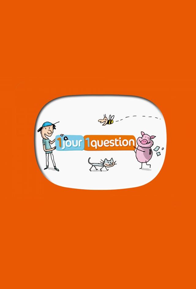 1 jour, 1 question