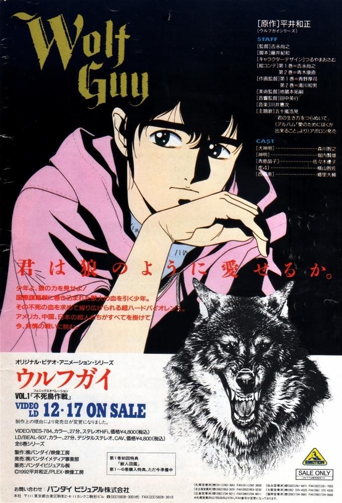 Wolf Guy
