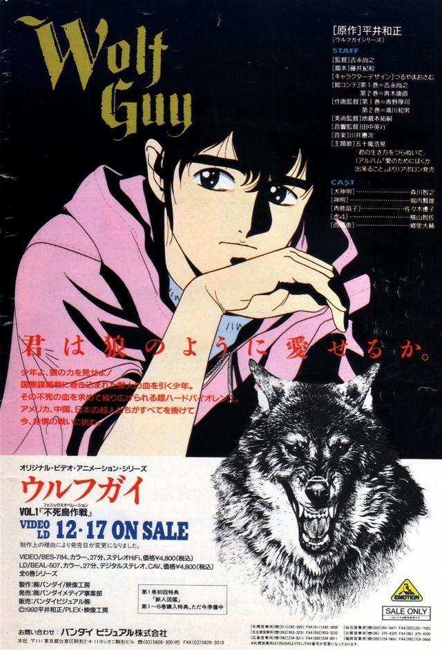 Wolf Guy