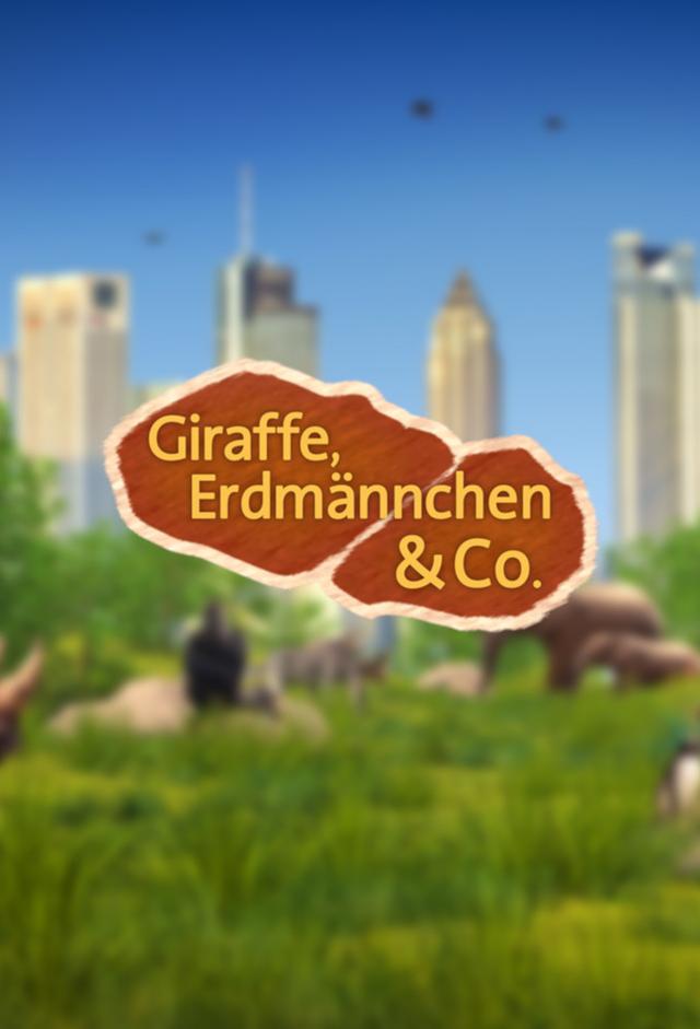 Giraffe, Erdmännchen & Co.