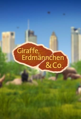 Giraffe, Erdmännchen & Co.
