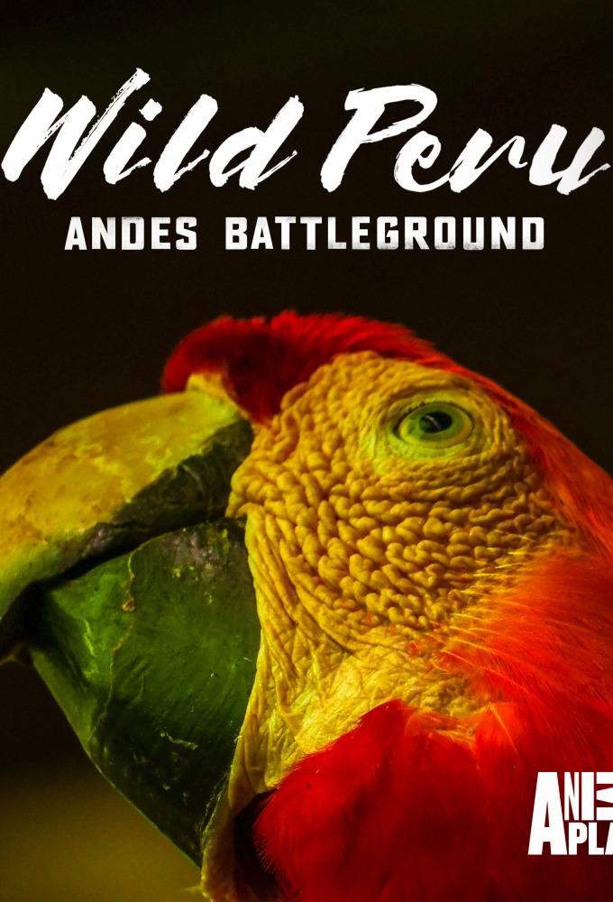 Wild Peru: Andes Battleground