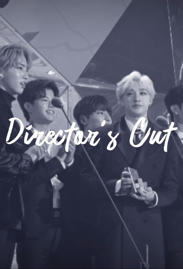 Stray Kids: Director's Cut