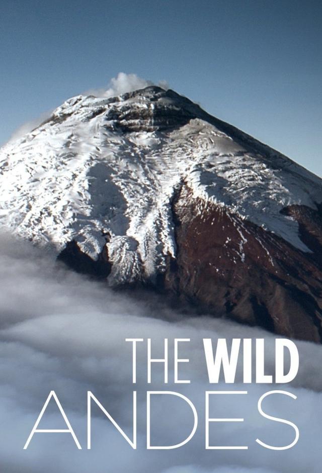 The Wild Andes