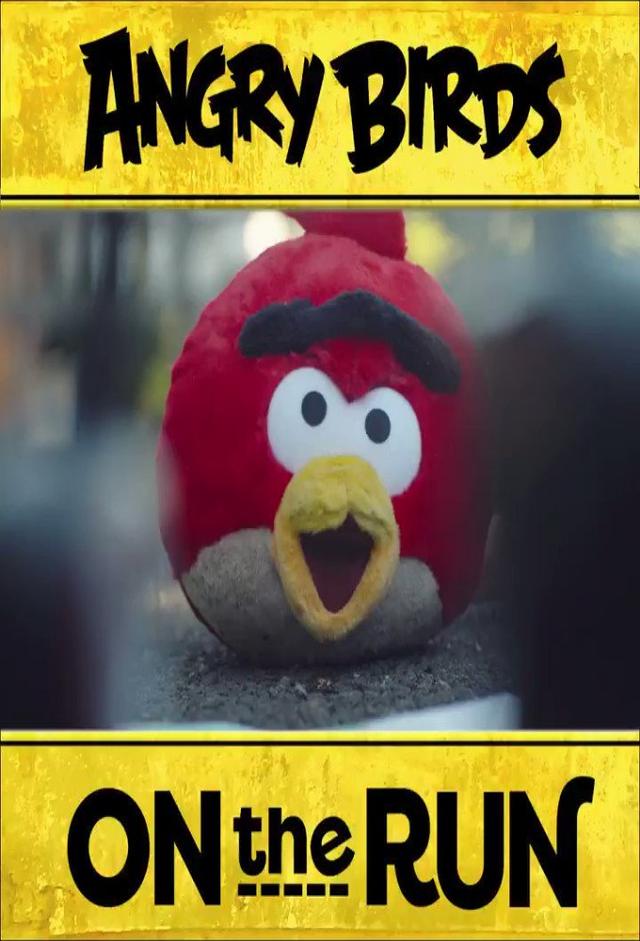 Angry Birds on The Run