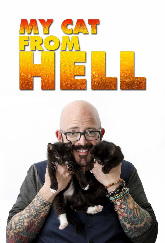 Der Katzenflüsterer