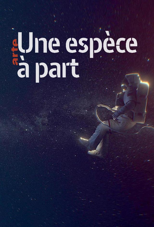 Insignificant