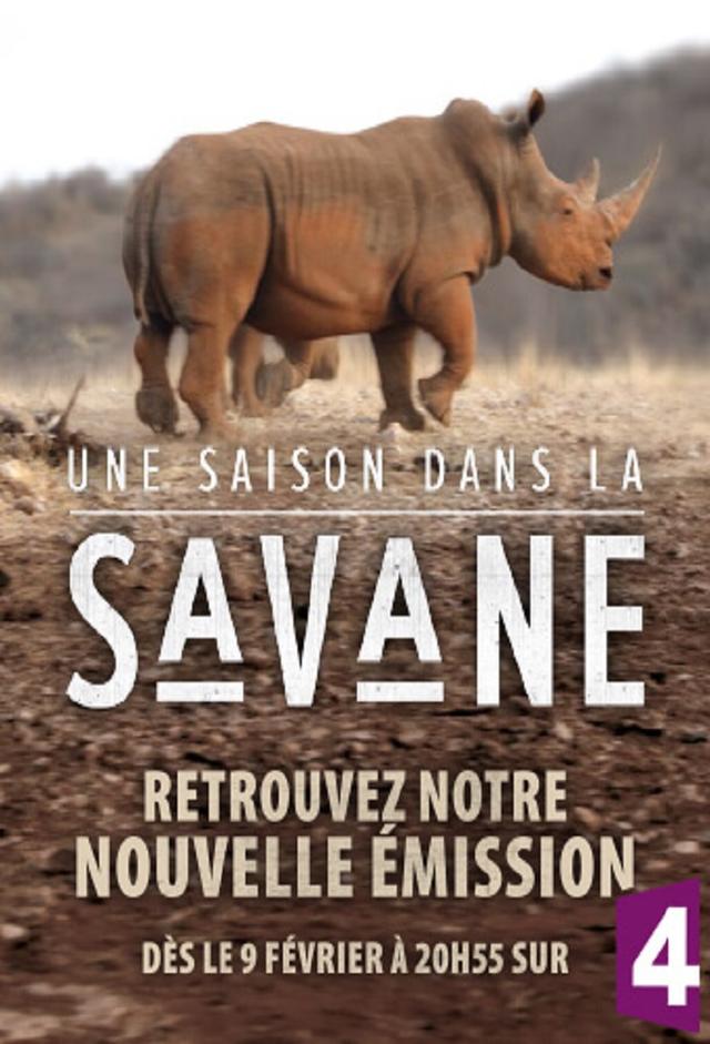 Une saison dans la savane