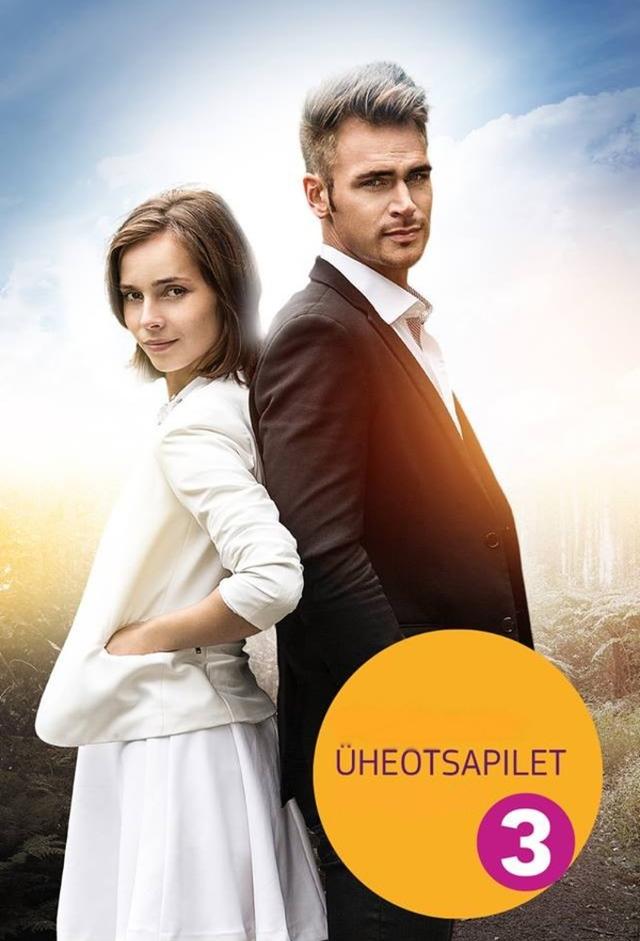 Üheotsapilet