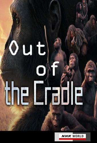 Out of the Cradle